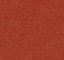 Линолеум Forbo Marmoleum Decibel on Order 335235 Berlin red фото 1 | FLOORDEALER